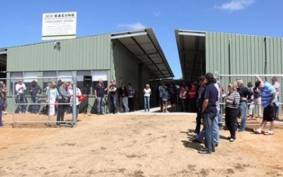 First Stable Open Day Was A Great Success