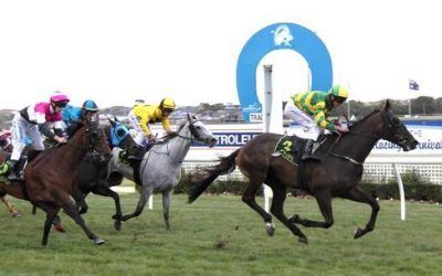 White Knight Wins In Good Style At Warrnambool