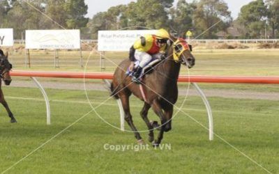 Pyrenees Express Good Strong Win at Werribee