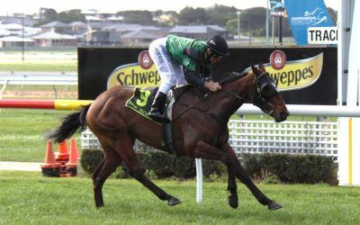 Consolidated Girl Breaks Her Maiden At Warrnambool