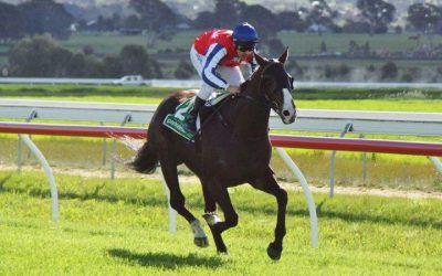 Double At Ararat