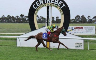 Flying Hussler Gets His Maiden Win