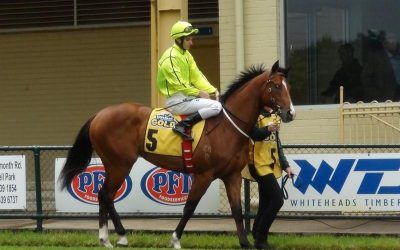 Ticket To Toorak First Winner For Sire Northern Meteor