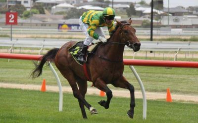 Stable Double at Warrnambool