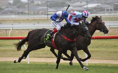 King Kaiyo Wins His Maiden At Warrnambool