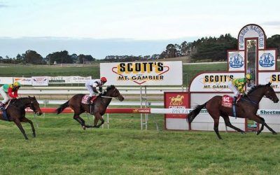 Iceconi Wins At Mount Gambier