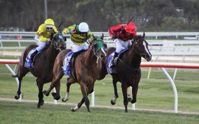 Warrnambool Carnival Wrap Up