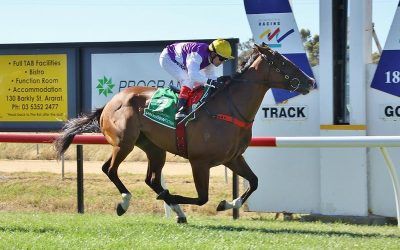 Another Win For Ardroy