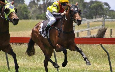 Boxing Day Double For MW Racing