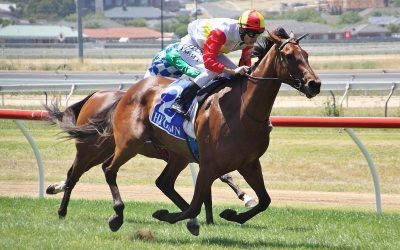 Stable Double At Our Home Track