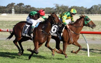 Stable Quinella on Stawell Cup Day