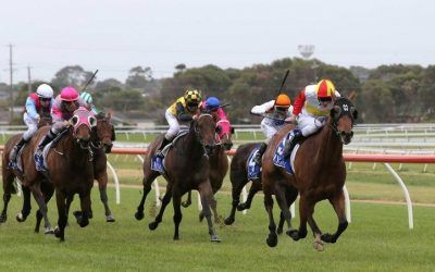 Artie’s Shore Back In The Winners Stall