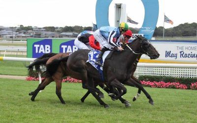 Danzoo Dominates at Warrnambool