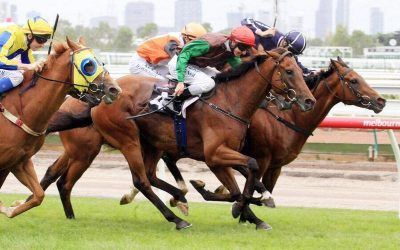 Turnitaround Spins A Win At Flemington