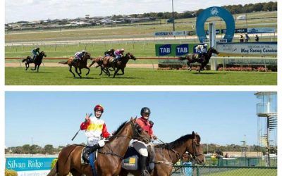 Stable Success with Double on Home Track