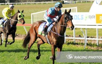 Magna Rossa Salutes At Casterton