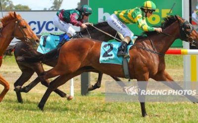 Red Sensation Wins At St Arnaud