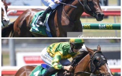 Sibling Success In Geelong Stable Double