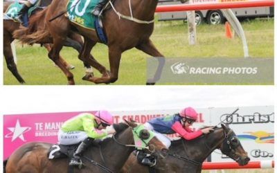 Owners Lucky Day With Double At Mortlake