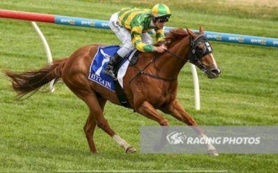 Alma’s Rossa Too Strong At Ballarat