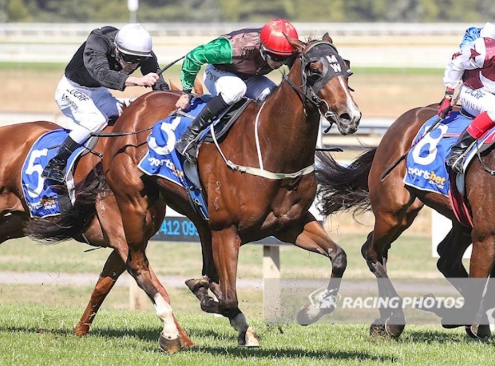 Bernie Leaves No Regret's In Ballarat Maiden Victory MJ Williams