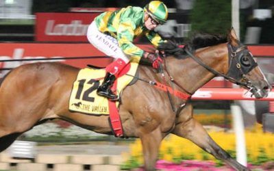 Paremuus Boy Wins Under Lights At The Valley