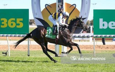 Stable Star Harbour Views Remains Unbeaten