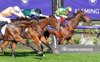 Another Flemington Win For Kuramae