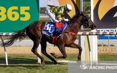 Intellective Too Strong In Swan Hill