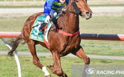 Renouf Dominant At Donald