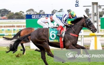 Veteran Galloper Back In Winners Stall