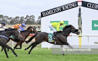 Sunburnt Scores Win At Hamilton