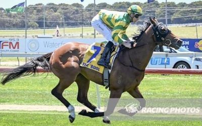 Royal Fox A Moral On Jericho Cup Day