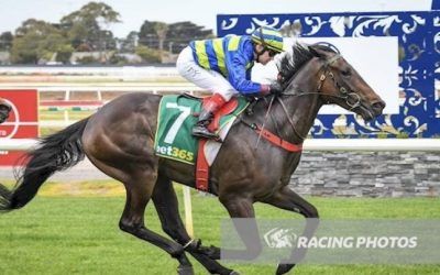 Sachem A Winner At Geelong