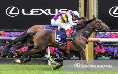 Seawhatyouthink Salutes At Flemington