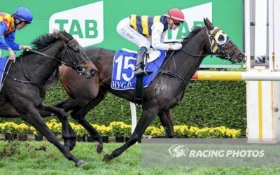 Toregene Impressive On Debut