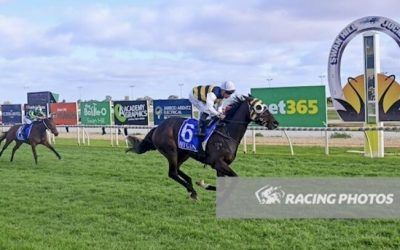 Toregene Too Strong At Swan Hill