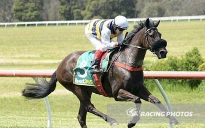 Dyerville Impressive Maiden Win