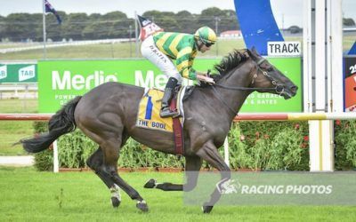 Patience Rewarded On Jericho Cup Day