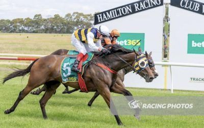 Pankhurst A Winner At Hamilton