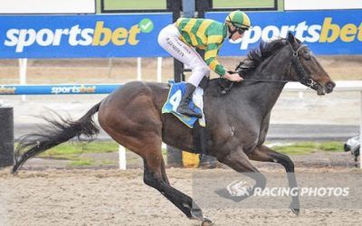 Stable Quinella On Synthetic At Ballarat