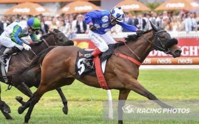 Group 2 Success For Wrote To Arataki
