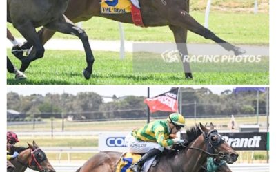 Stable Double On Jericho Cup Day