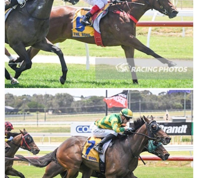 Stable Double On Jericho Cup Day MJ Williams Thoroughbred Training