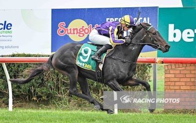 Belgian Gets The Chocolates