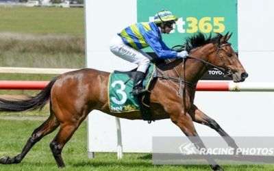 Icy Pole Takes Trial Form To The Races