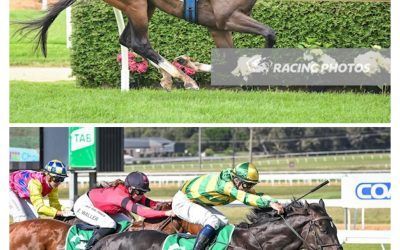 Stable Double On Jericho Cup Day