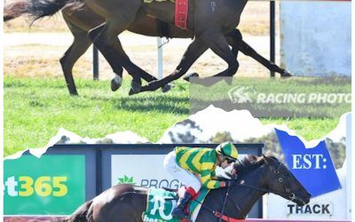 Seeing Double At Ararat