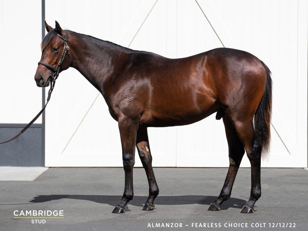 Kingsford MJ Williams Thoroughbred Training