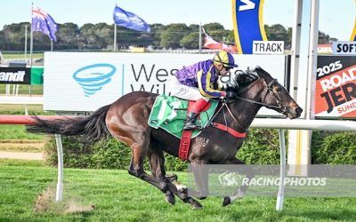 Debut Win For Celibate